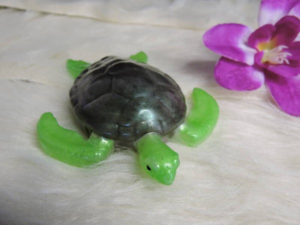tortue caméléon et verte