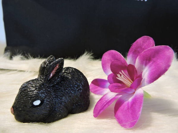 lapin noir