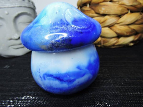 boite champignon bleue