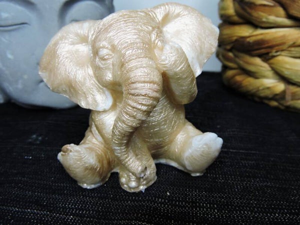 éléphant champagne