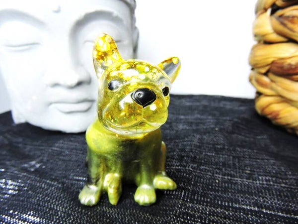 bouledogue tons jaune /doré