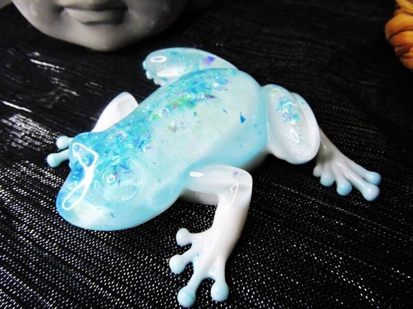 grenouille 7
