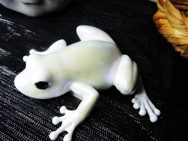 grenouille 8