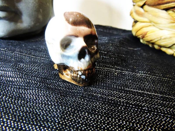 skull/crane petit modèle marron nuancé