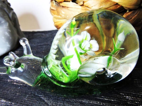 escargot fleuri