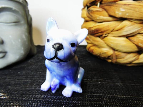 bouledogue bleu/ violet et blanc