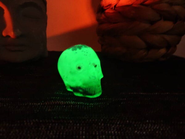 skull/crane petit modèle vert / noir phosphorescent