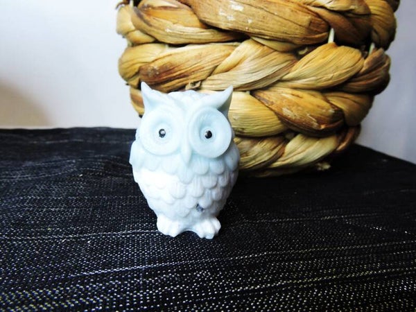 petit hibou bicolore