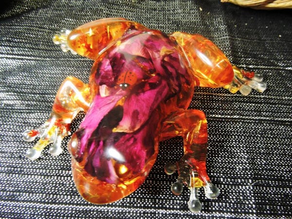 grenouille ( PRIX REDUIT )