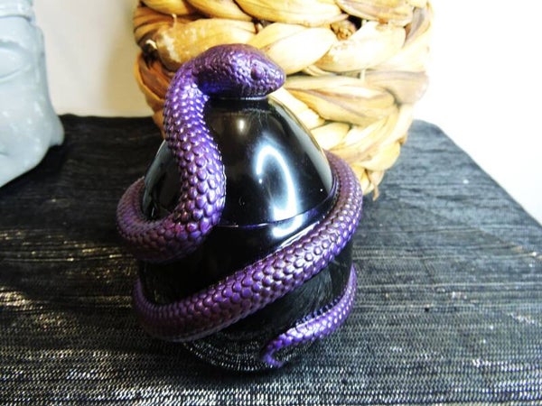 boite serpent violet sur fond noir