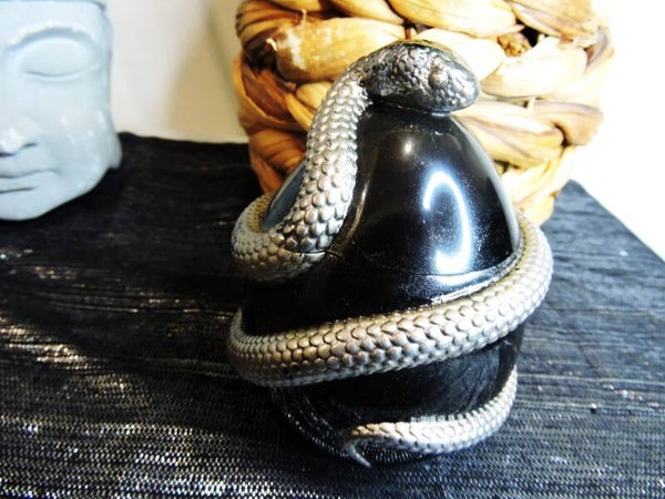 boite serpent argenté sur fond noir