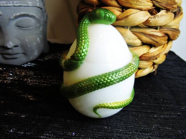 boite serpent vert/jaune