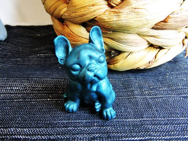 petit bouledogue bleu canard