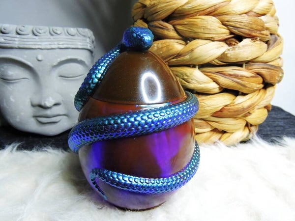 boite serpent bleu fond violet