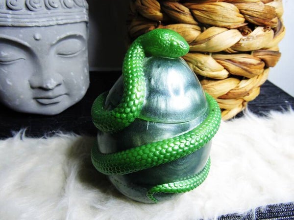 boite serpent vert fond vert