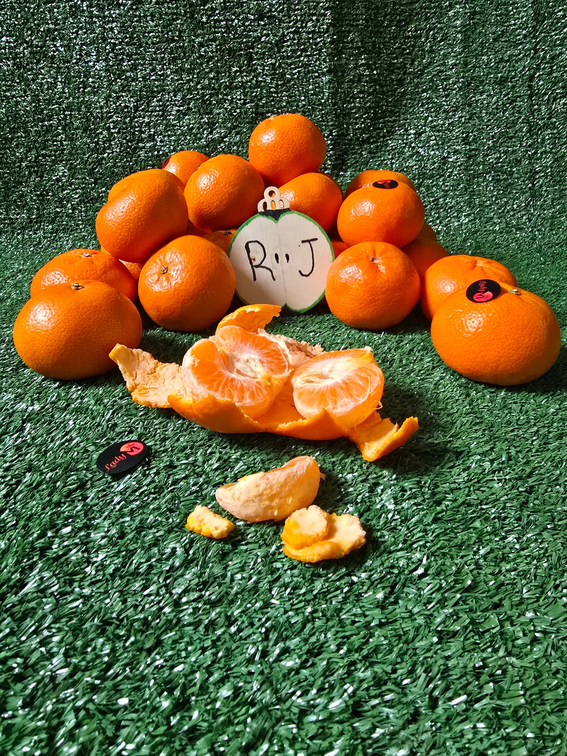 Satsuma