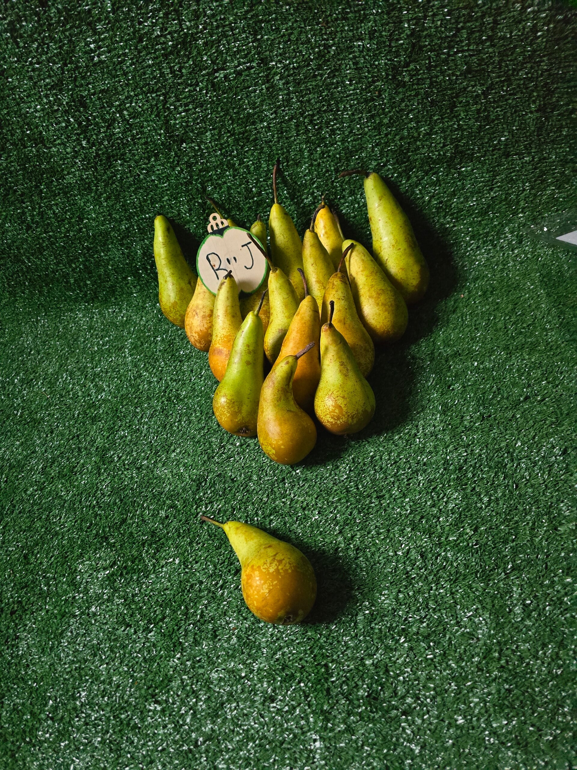 Pears
