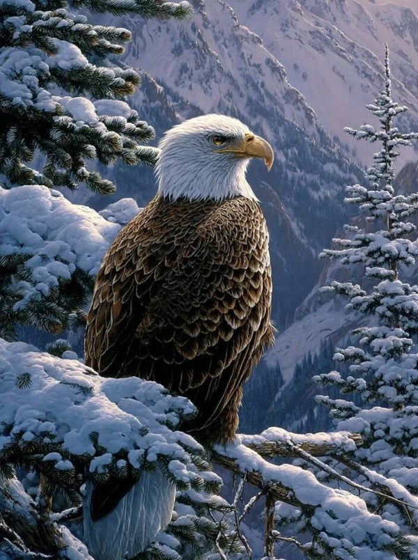 Snowy Bald Eagle Cross Stitch Pattern: Falcon, Hawk, Mountains (PDF Download, 53k Stitches)
