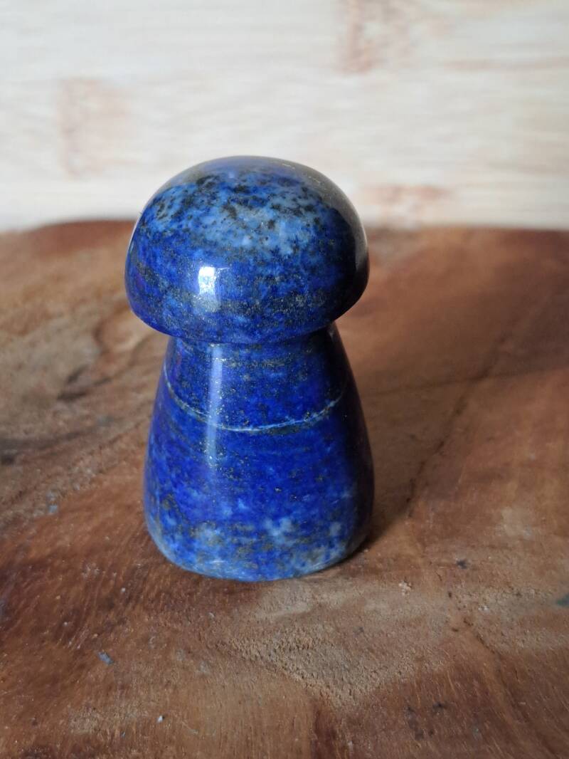 champignon-lapis-1-standard.jpg