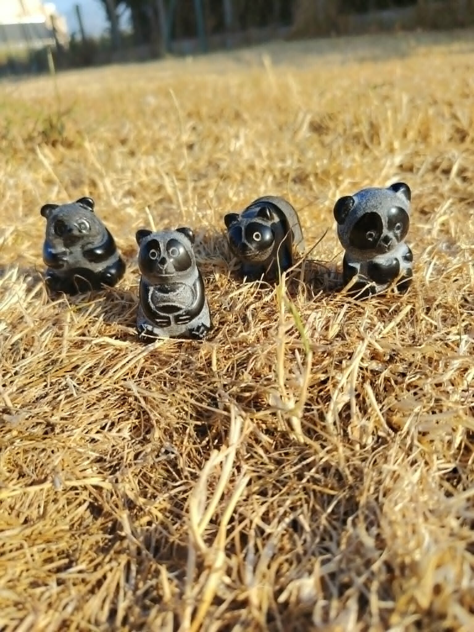Pandas en Obsidienne