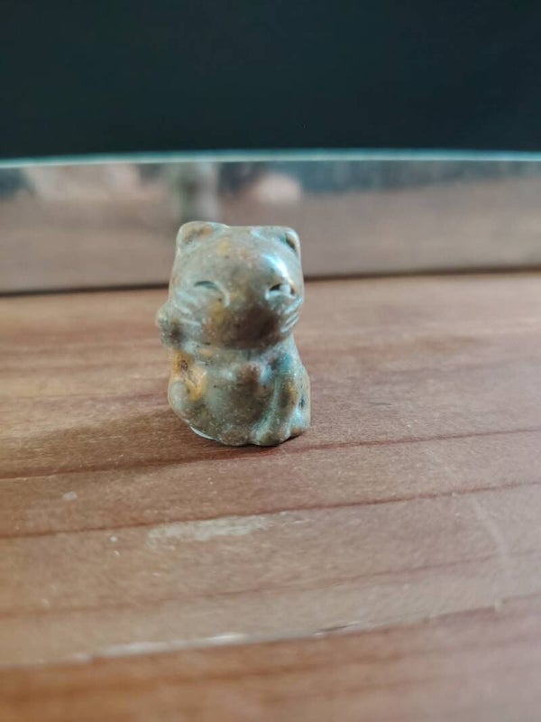 Chat en Jaspe Fruit