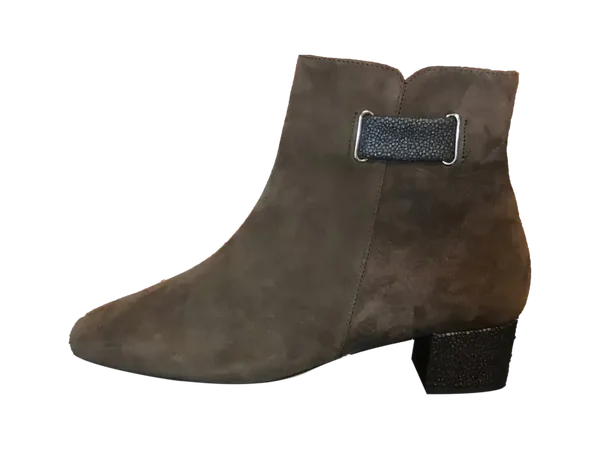 Hassia bottine Darkbrown Bronce Evelyn Botjes J