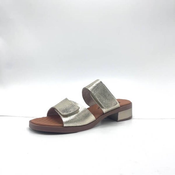 Vital instappers Gold