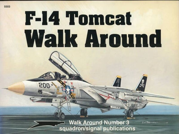 Walk Around 03 F-14 Tomcat