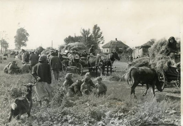 Burgers die de troepen volgen (12 okt 1943)