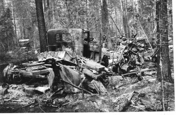 Autowrakken in bossen