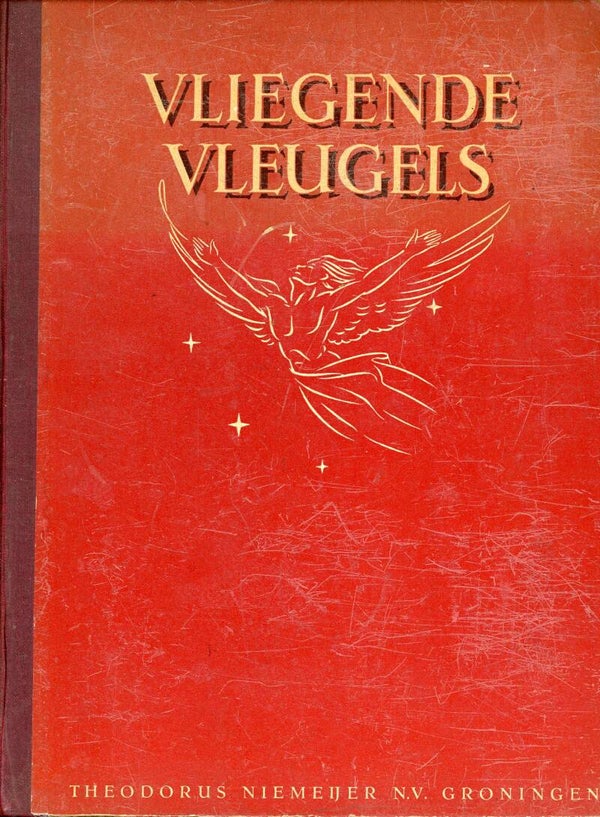 Vliegende Vleugels C. van Steenderen deel 1 en 2