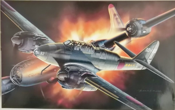 Gekko model 21  J1N2 Irving 1/72 Fujimi