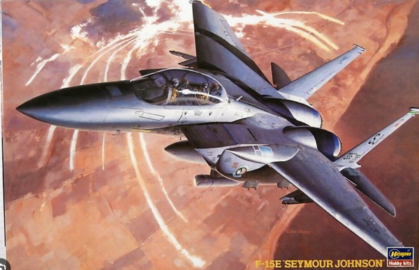 F-15E "Seymour Johnson" 1/72 Hasegawa