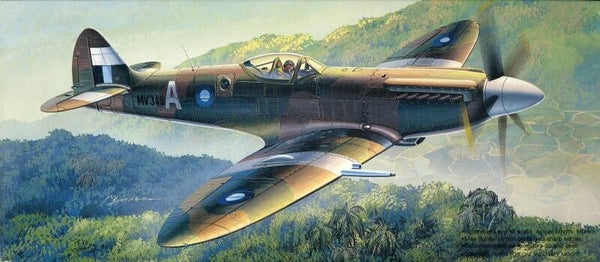 Spitfire F.R. Mk.14E 1/72 Fujimi