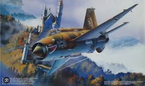 Mikoyan Mig 21MF German 1/72 Fujimi