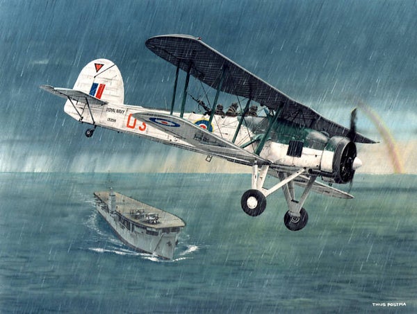 Swordfish Thijs Postma schilderij (org. gouache) ingelijst
