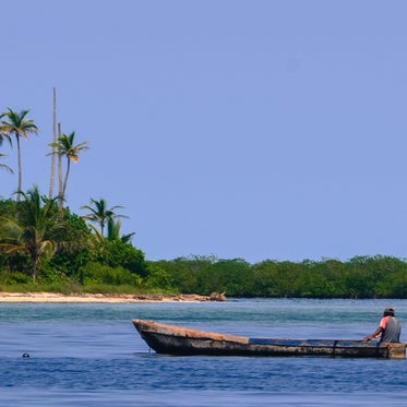 Palmen an Strand von Panama
