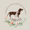 Chidax Dachshunds & Chihuahuas Chidax Dachshunds & Chihuahuas