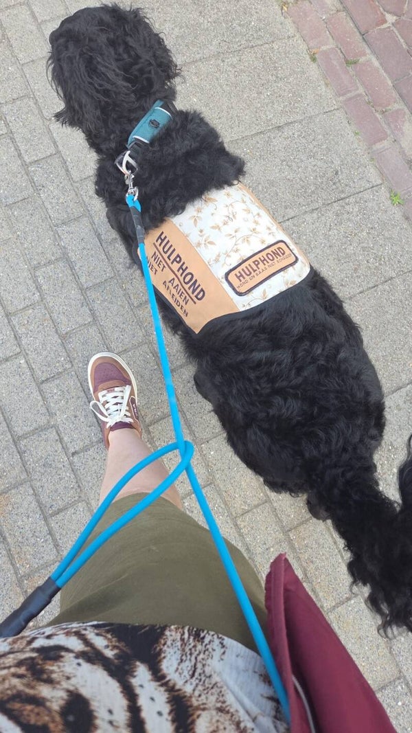 Biothane round leash