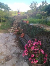 1731923987446-standard.jpg