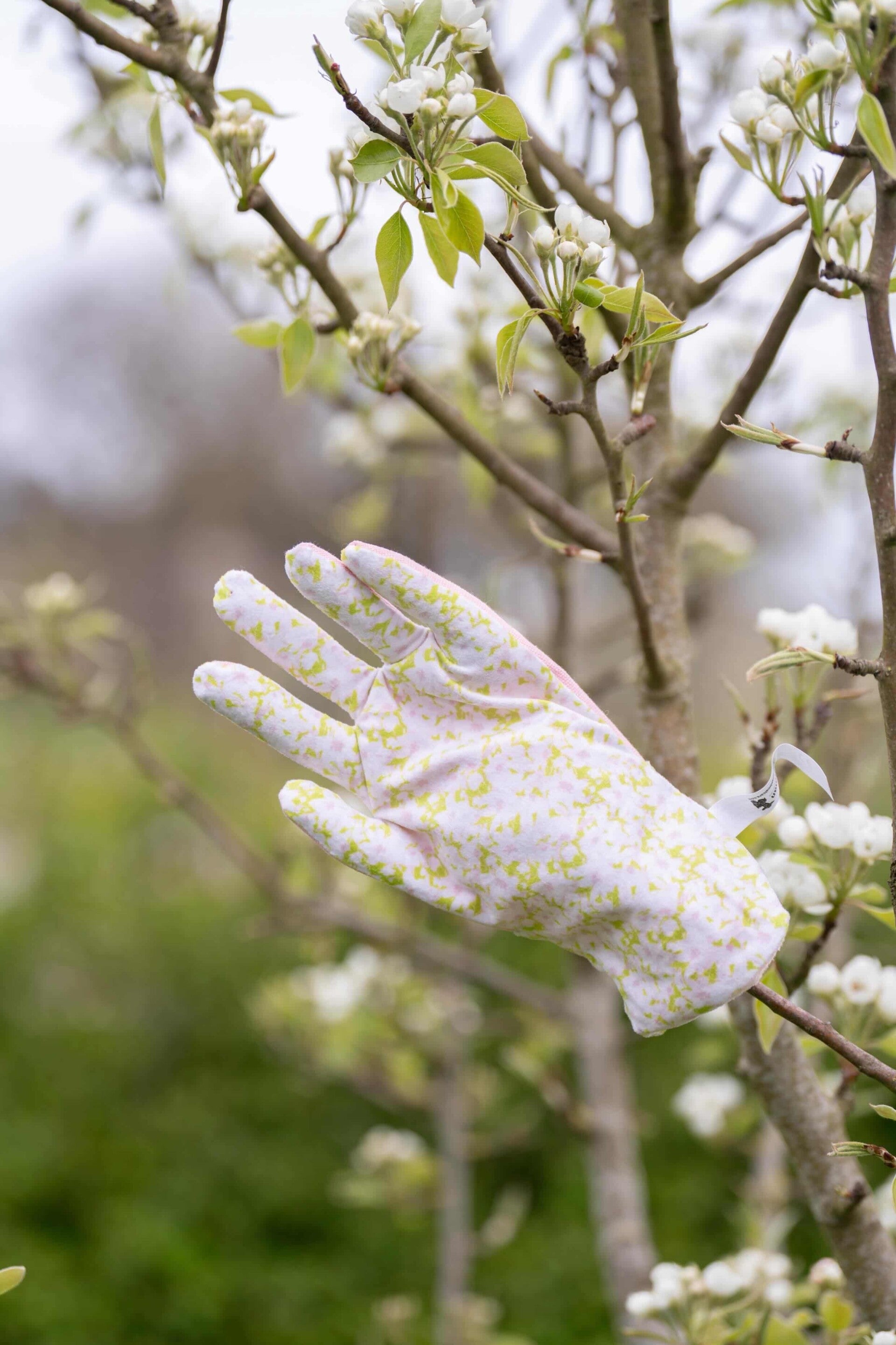Garden Paws - Glove
