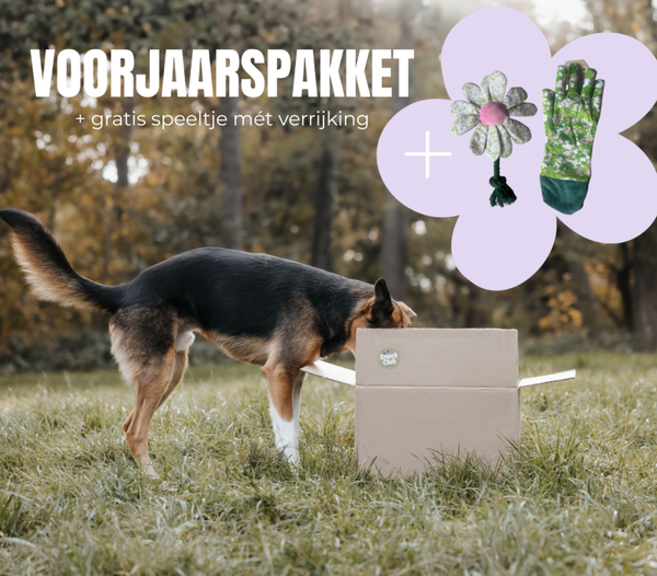 Voorjaarspakket