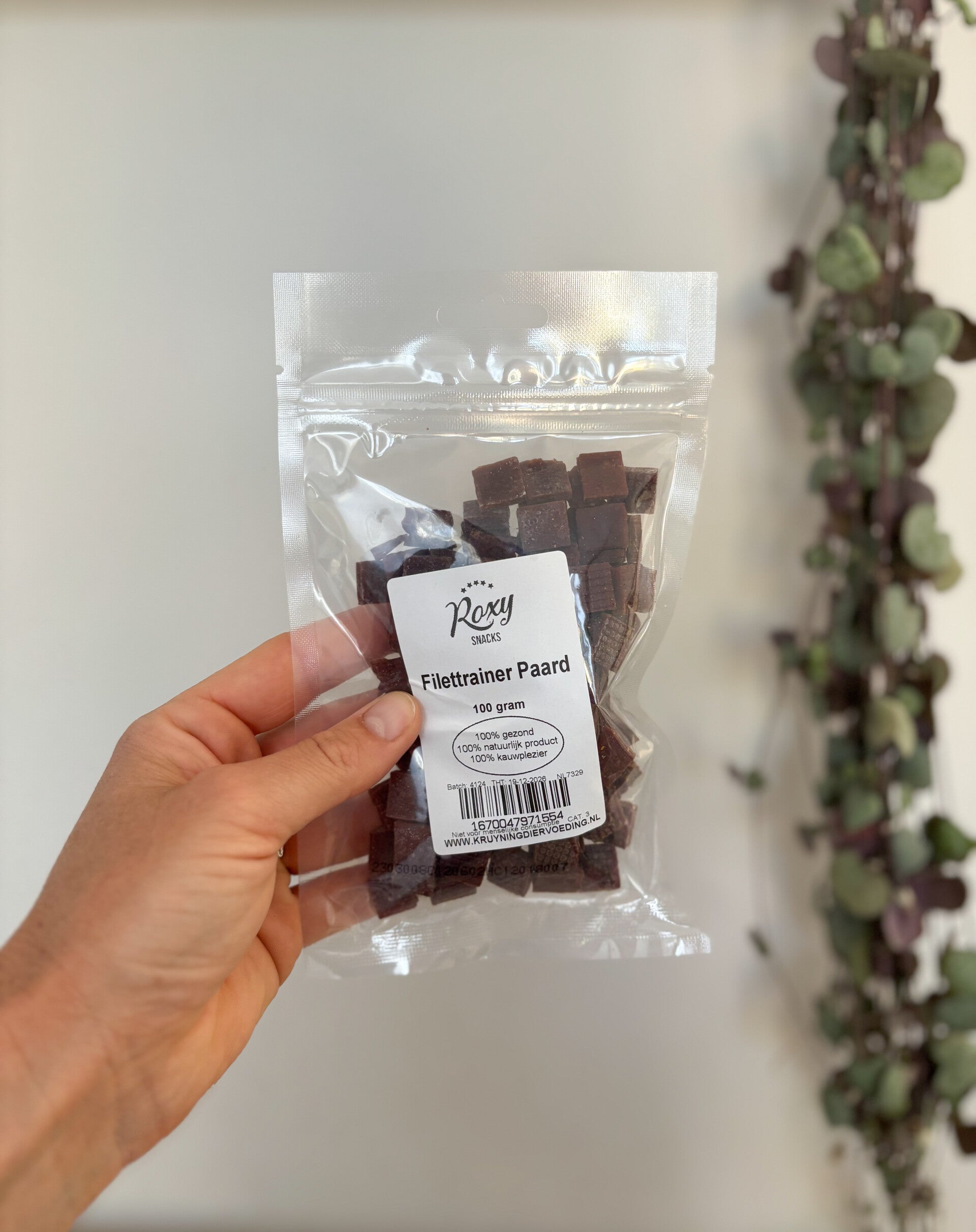 Filettrainer - paard