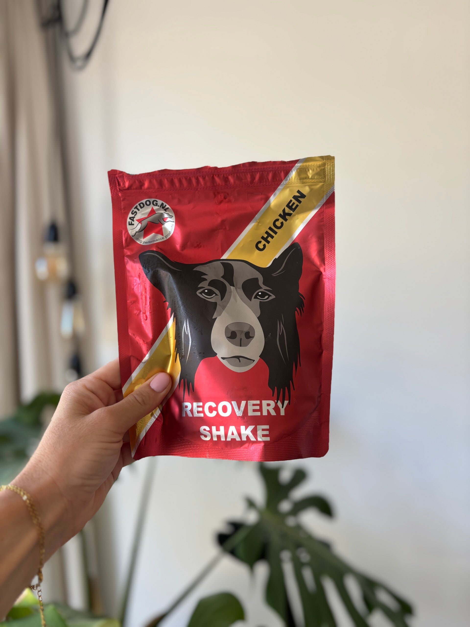 Fastdog Recovery Shake 500gr