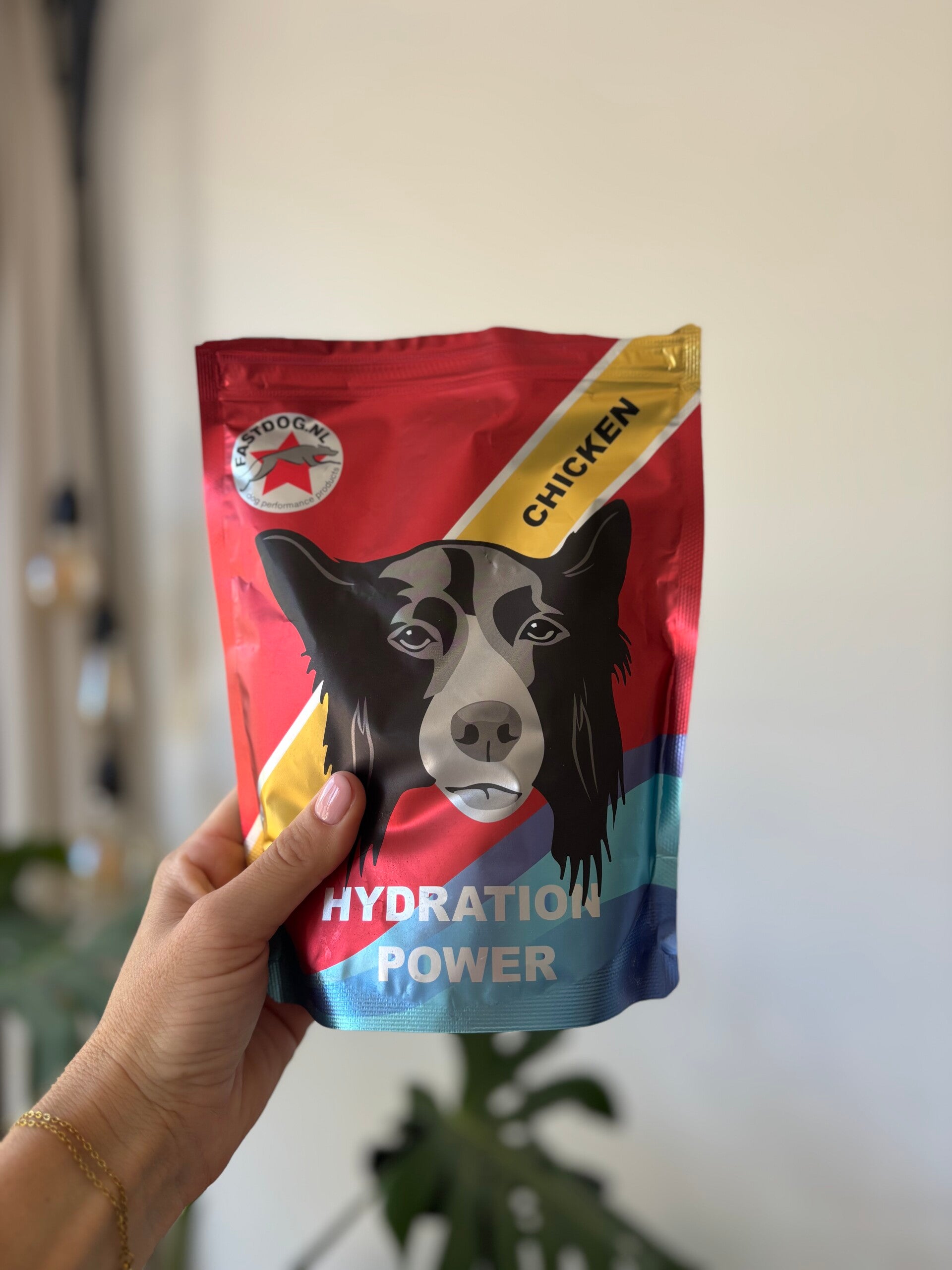 Fastdog Hydration Power 500gr