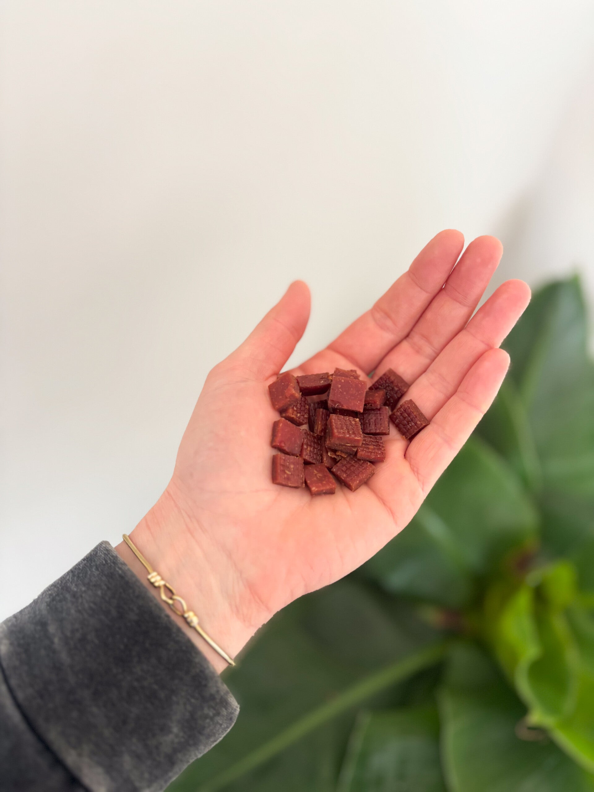 Filettrainer - konijn