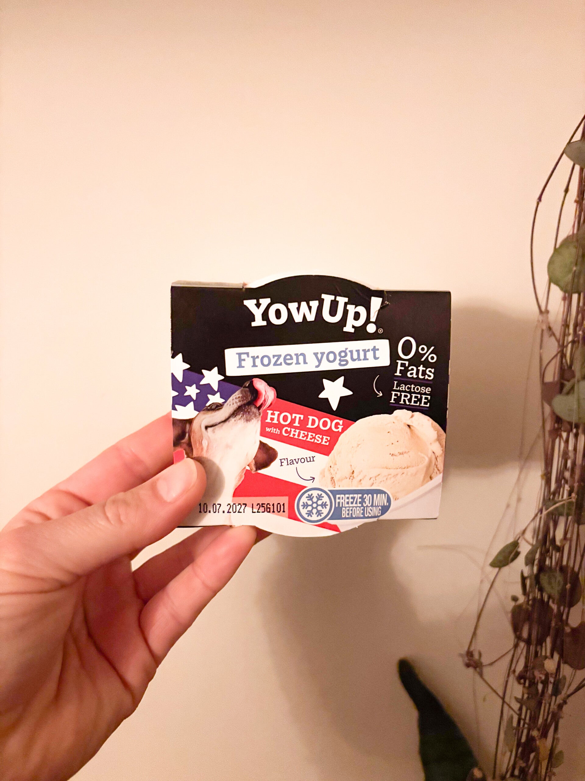 Hondenijs: YowUp! Frozen Yoghurt Hot dog met Kaas