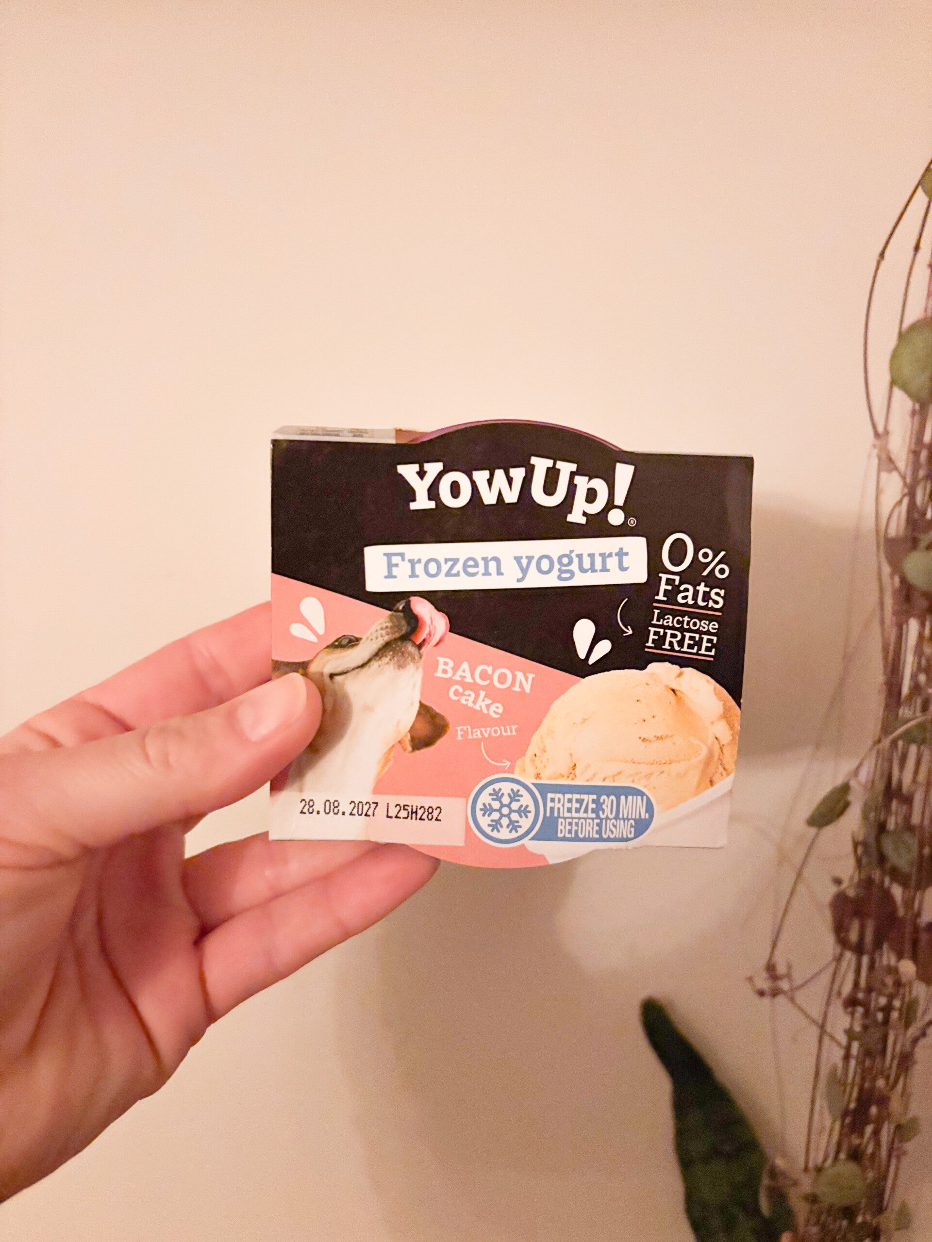 Hondenijs: YowUp! Frozen Yoghurt Bacon Cake