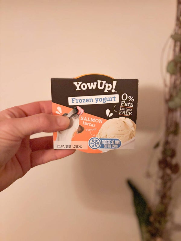 Hondenijs: YowUp! Frozen Yoghurt Salmon Tartar