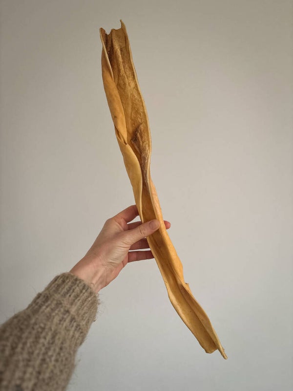 Paardenhuid staven 250gr